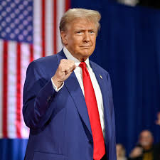 Banyak Negara Berencana Bangun Pabrik di RI, Faktor Tarif Resiprokal Trump