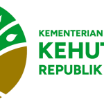 Kemenhut Tindak Tegas 10 Kasus Kejahatan Hutan