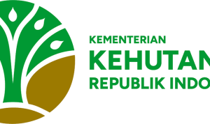 Kemenhut Tindak Tegas 10 Kasus Kejahatan Hutan